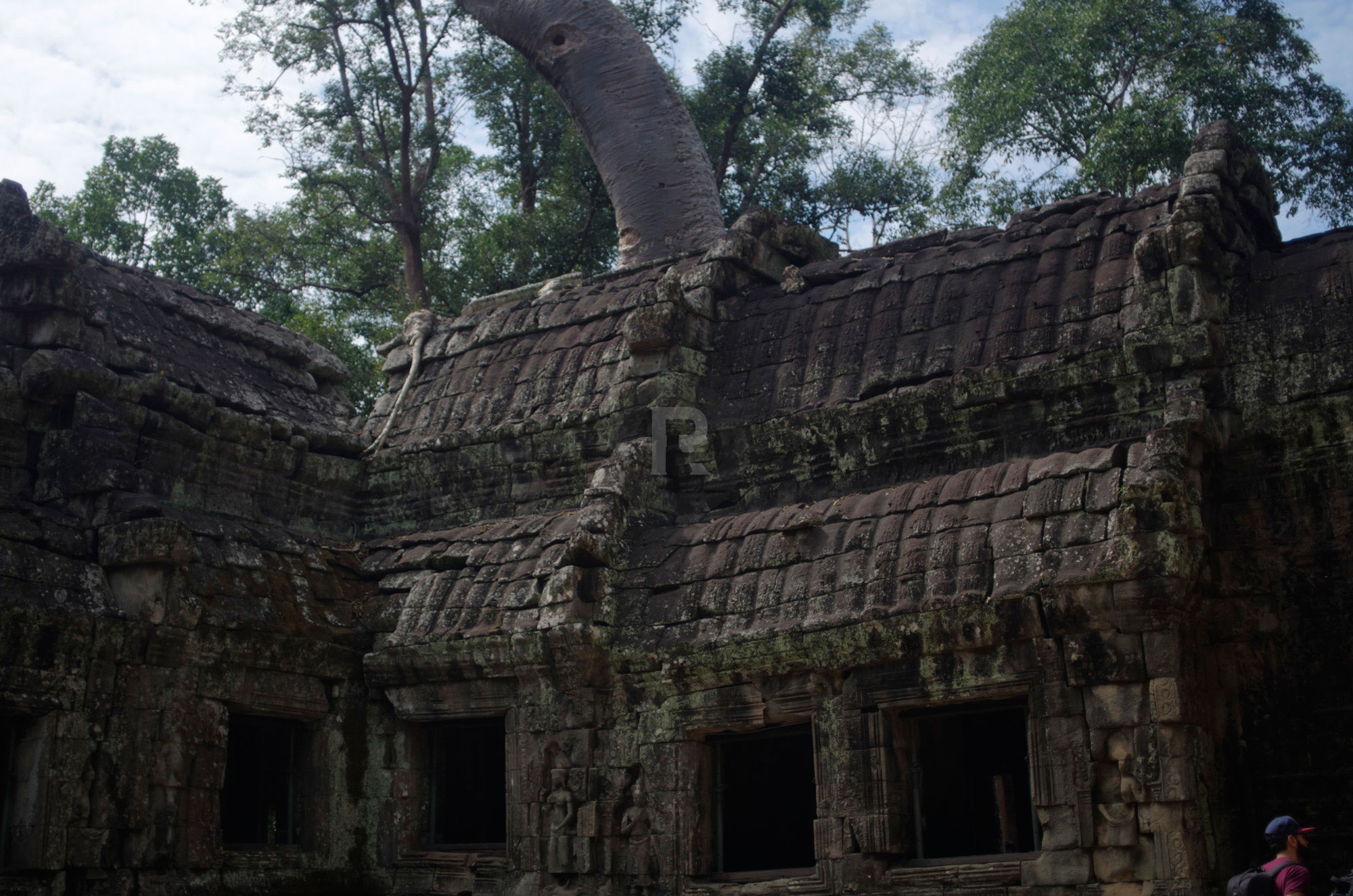 Exploring Ta Prohm and a Little History