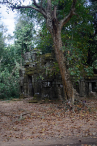 A building Just outside of Ta Prohm