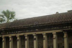 Monkeys hanging out on the roof of the first gallery