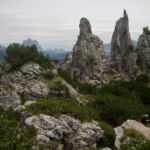 A selection of the magical finger like spires jutting out that make up the Pinnacles A selection of the magical finger like spires jutting out that make up the Pinnacles