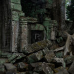 Collapsed galleries Collapsed galleries