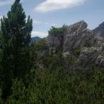A lovely contrast between trees and the rock A lovely contrast between trees and the rock