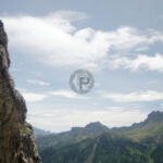 How do you get a tree all the way up there?! How do you get a tree all the way up there?!