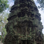 Tower shaded by the jungle Tower shaded by the jungle