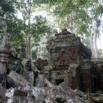 Collapsed gallery Collapsed gallery