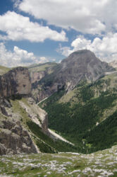 Vallunga and Stevia Stevia at the end of Vallunga Valley
