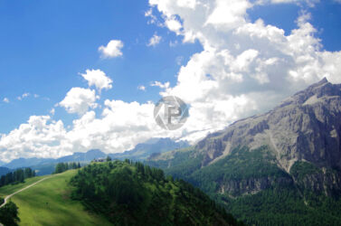 Col Alt Col Alt & Boe