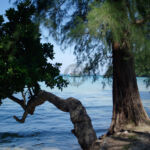 Jut getting to lonely beach Jut getting to lonely beach