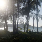 Leaving lonely beach Leaving lonely beach