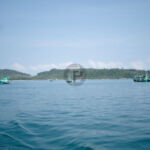 Fishing boats outside Palm Beach Fishing boats outside Palm Beach